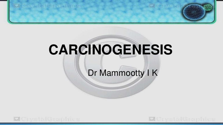 Chemical Carcinogenesis and Mutagenesis I